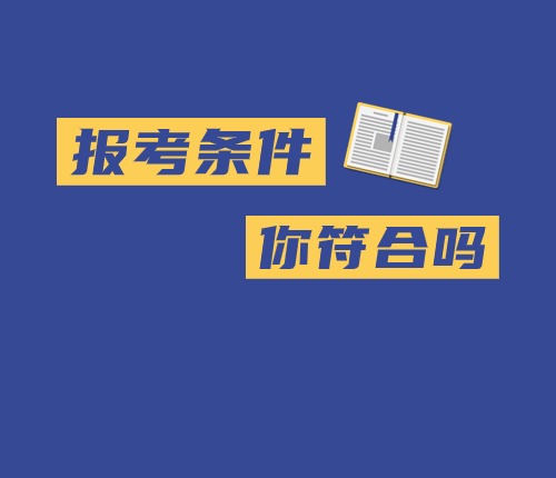 2025年區(qū)考報(bào)名條件